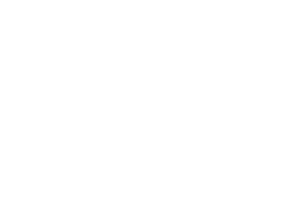 Financial Services Authority of Seychelles